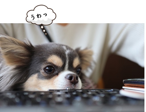 19-03-22-14-45-10-714_deco