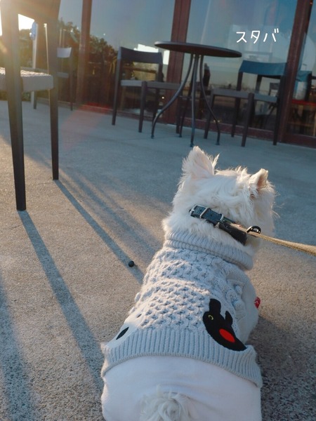 23-03-05-01-29-16-901_deco