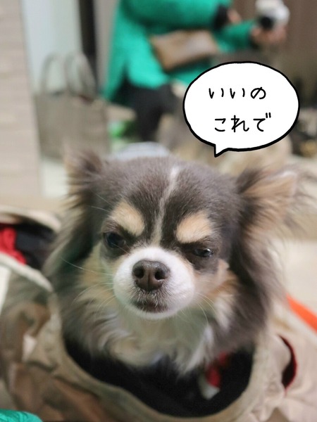 23-12-14-13-46-25-447_deco