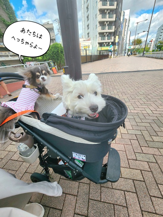 24-09-23-19-31-52-023_deco