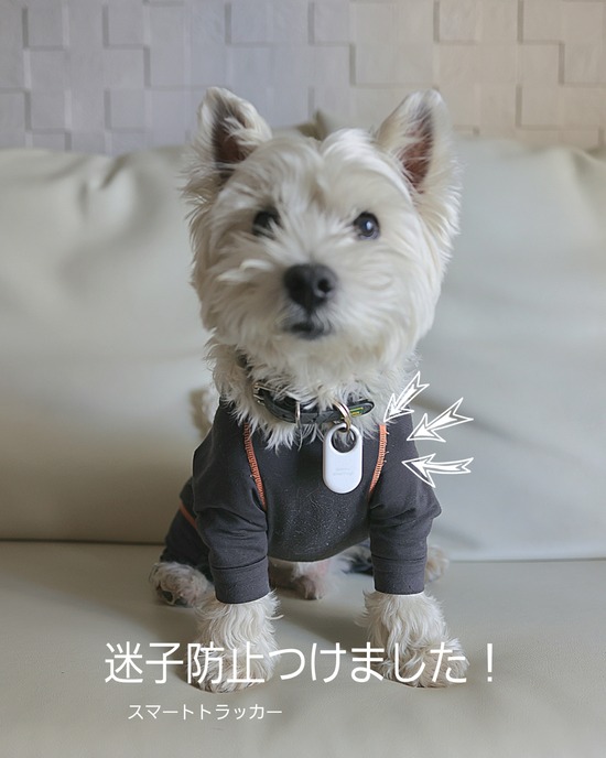 26-02-04-18-17-46-324_deco