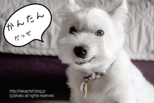 【犬グッズ】お気に入りおもちゃ（ビジーバディツイスト）　～ウエスティ編～