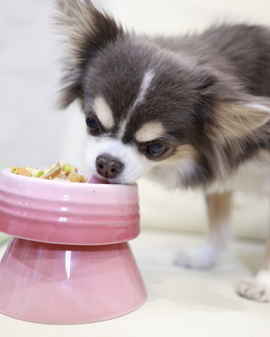 26-01-14-07-12-51-675_deco