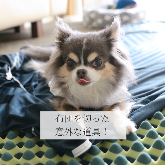 【旅の準備④】車中泊の寝床の検討