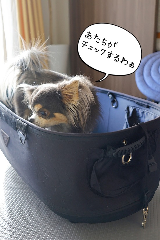 25-12-08-11-05-16-115_deco