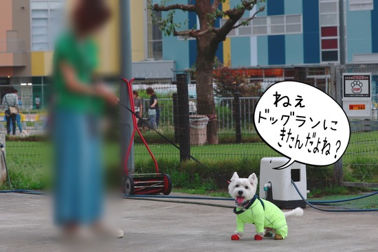 Point Blur_20220623_234831