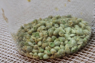 たかシェフのおうちごはん。