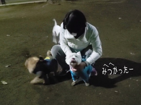 21-04-17-09-37-01-961_deco