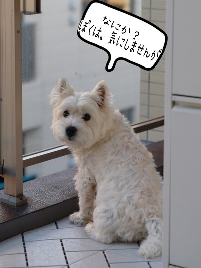 21-10-24-10-41-35-804_deco