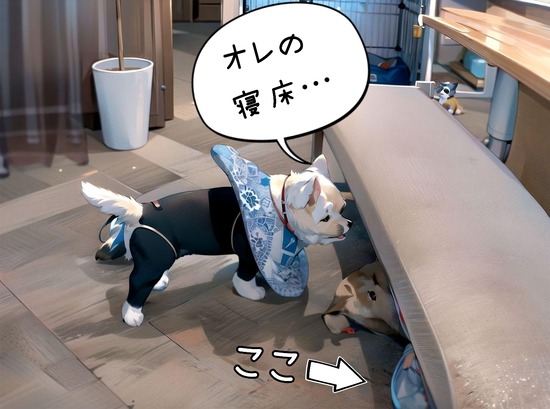 24-07-08-18-28-08-072_deco