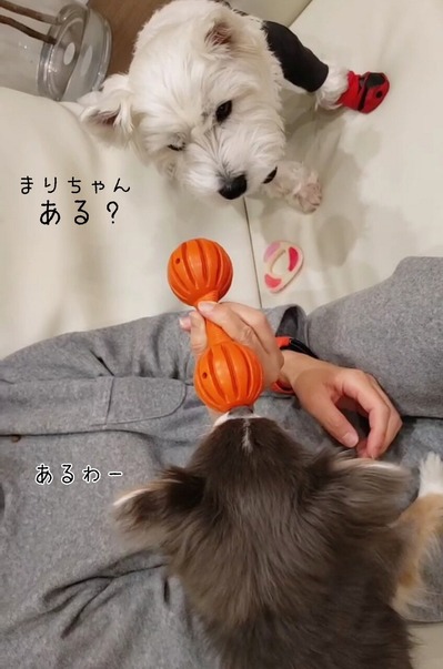 21-03-10-16-48-53-663_deco