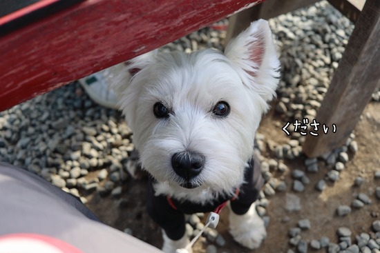 25-11-08-10-23-33-775_deco