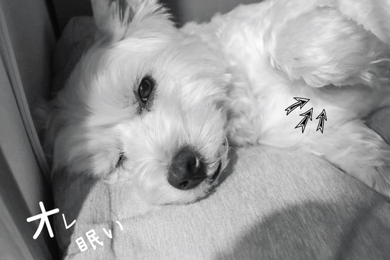 24-12-14-06-19-08-968_deco