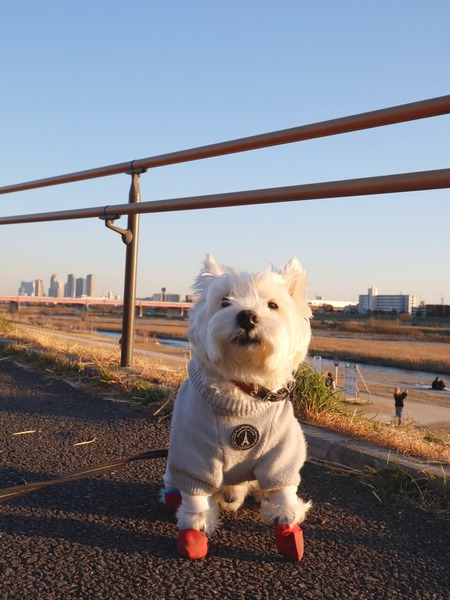 23-03-02-11-23-22-168_deco