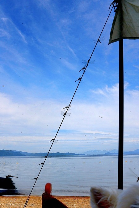 25-07-18-15-14-11-990_deco