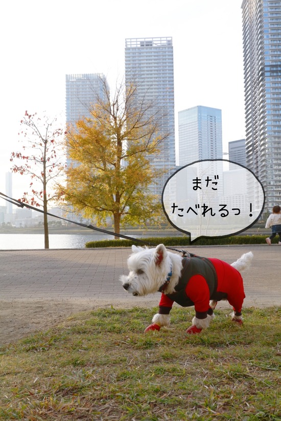 21-12-03-14-28-52-162_deco