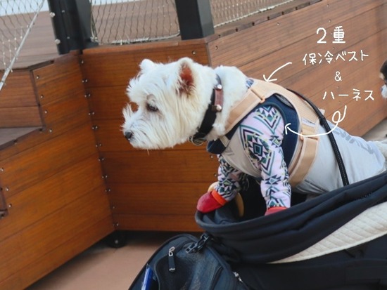 24-08-31-07-14-05-919_deco