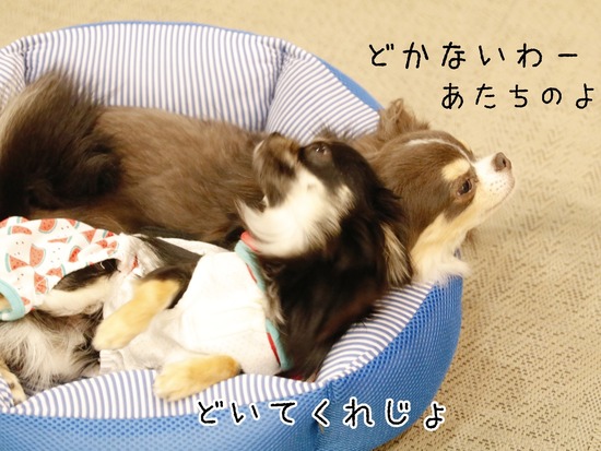 21-10-11-02-47-34-754_deco