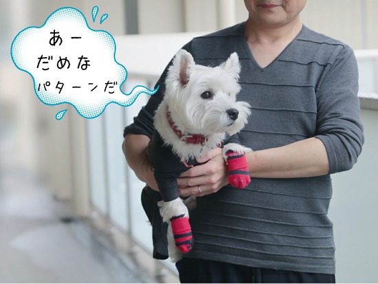 21-01-29-08-20-37-630_deco