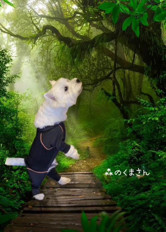 23-04-20-18-42-37-760_deco