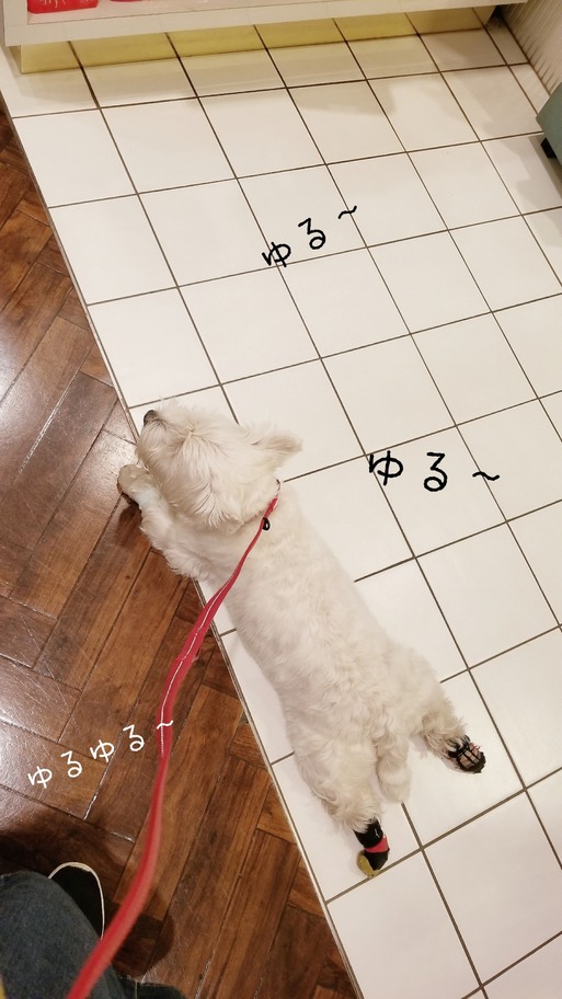 18-10-03-09-23-41-674_deco