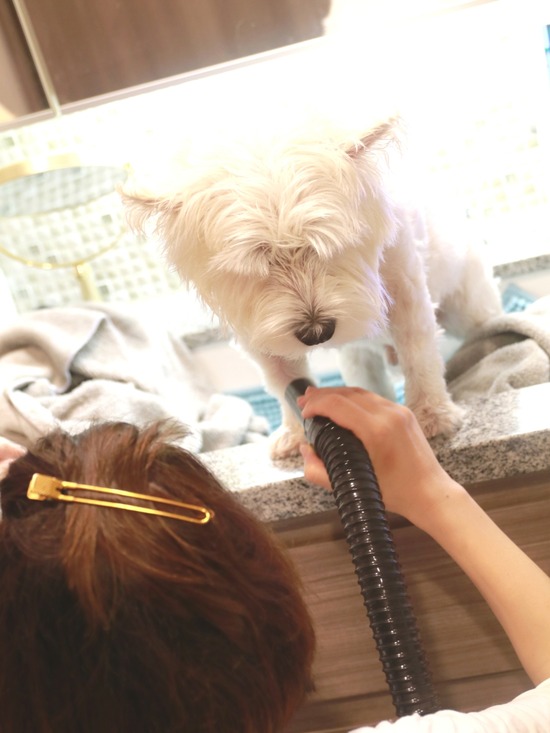 21-08-27-06-32-51-192_deco