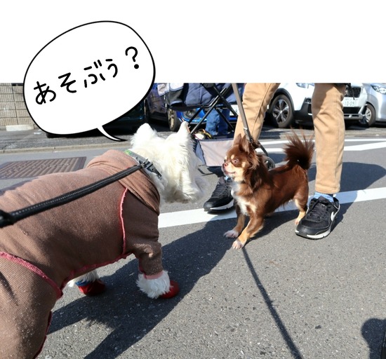 24-03-15-17-14-51-501_deco