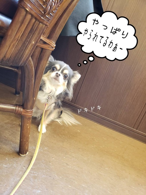 20-01-31-10-00-42-715_deco