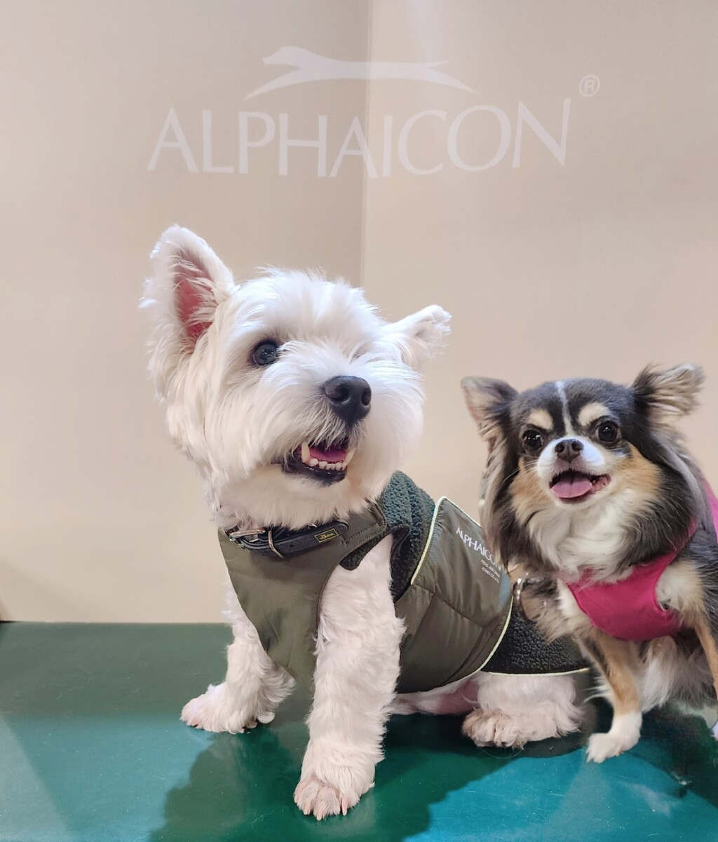 ALPHAICON エアライナー ブラック 犬服 S （2023モデル ALPHACON