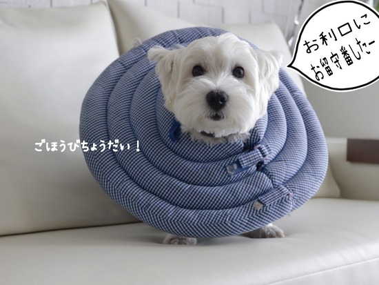 24-09-24-17-13-32-920_deco