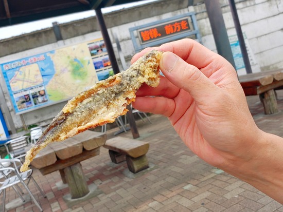 21-09-17-22-21-45-501_deco