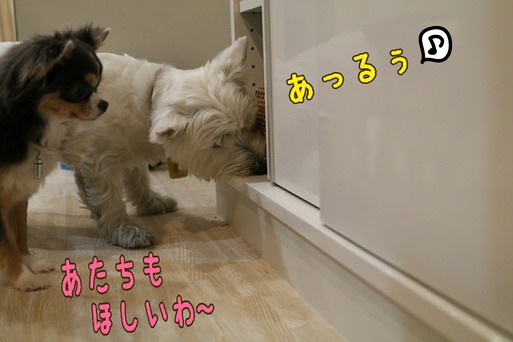 扉を開ける楽しみ