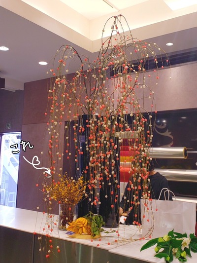 21-12-27-19-01-19-056_deco