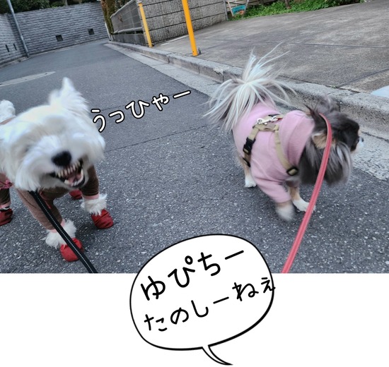 24-03-14-18-20-56-811_deco