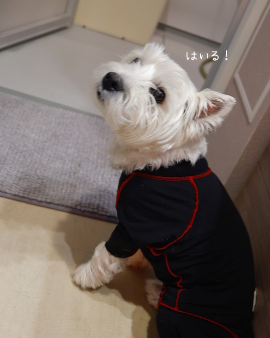 お風呂に自らはいる時