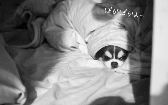 24-12-14-06-21-30-503_deco