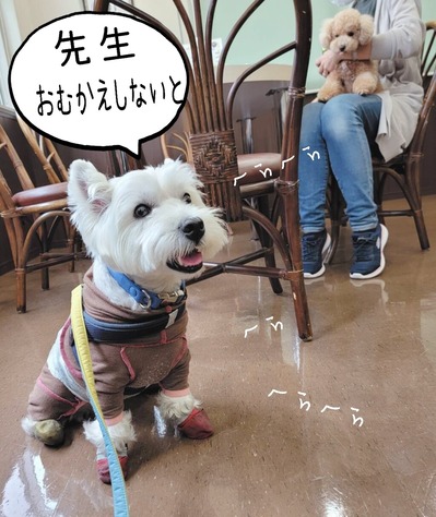 22-06-14-19-26-40-028_deco