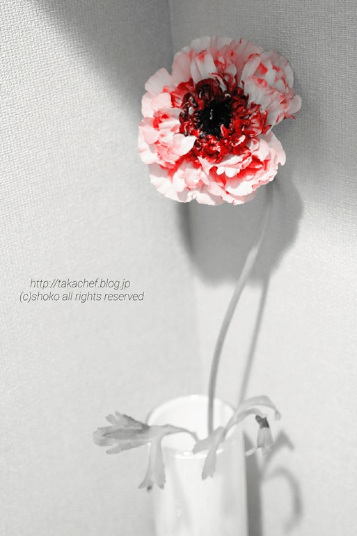 18-02-27-16-39-08-313_deco