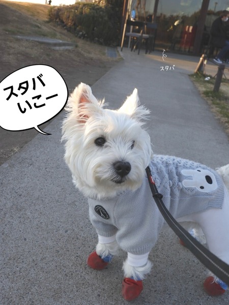 23-03-02-11-24-58-818_deco