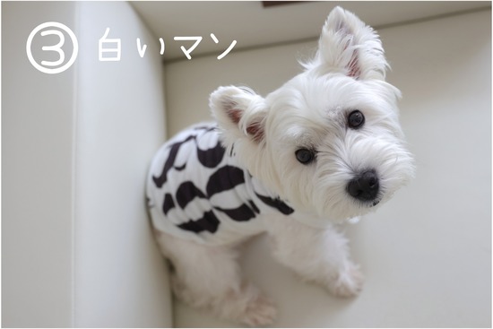 22-06-30-20-54-25-014_deco