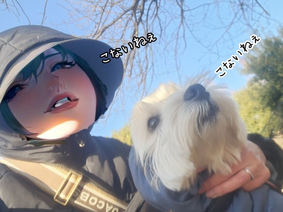 【風の日のドッグラン　その①】帰るよ~編。SNSの動画ができない苦悩