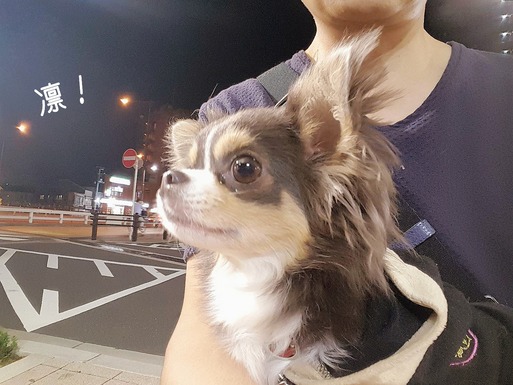 18-10-03-09-28-38-796_deco