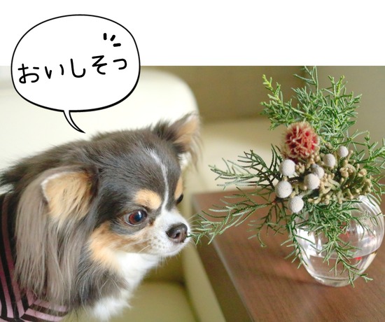 21-12-15-09-24-27-366_deco
