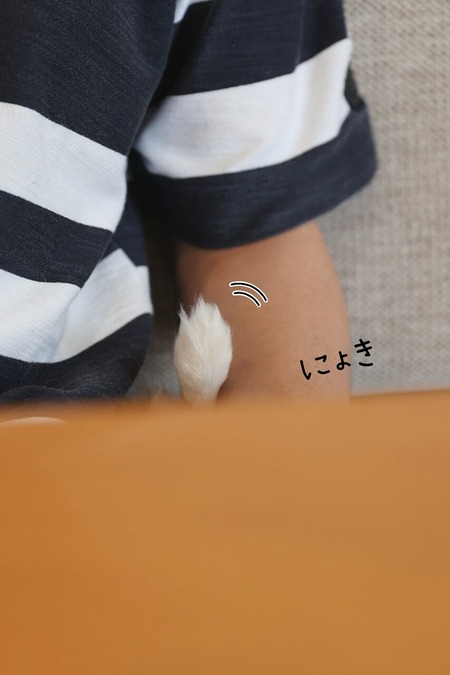 24-07-26-09-11-46-405_deco