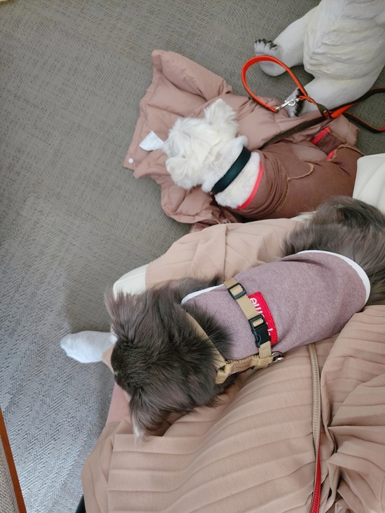 23-05-13-09-21-06-106_deco