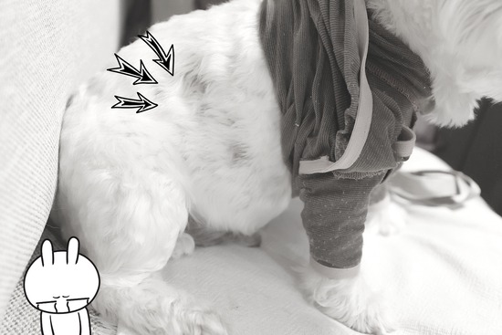 24-08-31-20-00-41-922_deco