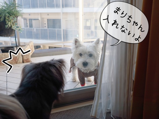 21-12-12-18-06-29-906_deco