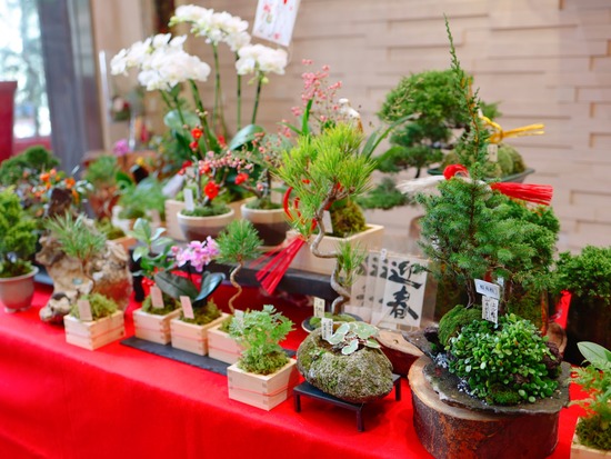 25-12-28-12-55-55-303_deco