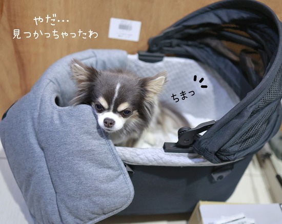 25-12-30-07-15-02-433_deco