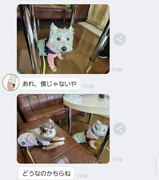 22-04-23-09-33-59-372_deco